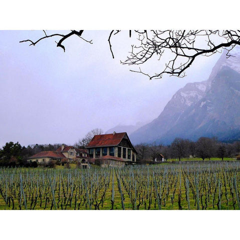 Inside the Vines Black Modern Wood Framed Art Print with Double Matting by Ghanooni, Sarah