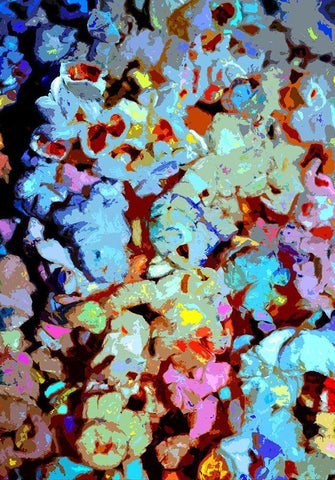 Poppin Black Ornate Wood Framed Art Print with Double Matting by Ghanooni, Sarah