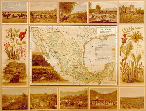 Agricultural Map of Mexico Black Ornate Wood Framed Art Print with Double Matting by Vintage Maps