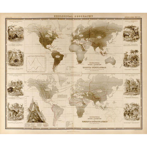 Zoological Geography Ruminants Gold Ornate Wood Framed Art Print with Double Matting by Vintage Maps