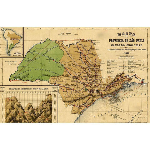 Sao Paolo Brazil 1886 Gold Ornate Wood Framed Art Print with Double Matting by Vintage Maps