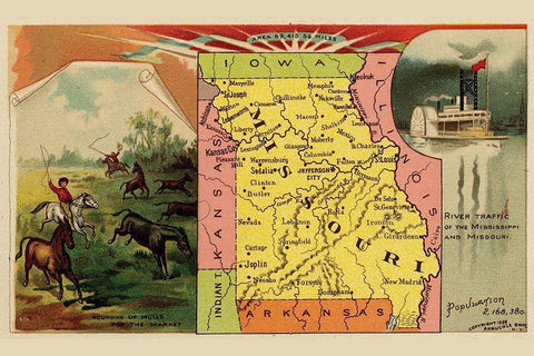 Missouri White Modern Wood Framed Art Print with Double Matting by Arbuckle Brothers