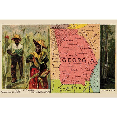 Georgia Black Modern Wood Framed Art Print with Double Matting by Arbuckle Brothers