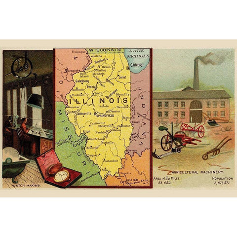 Illinois White Modern Wood Framed Art Print by Arbuckle Brothers