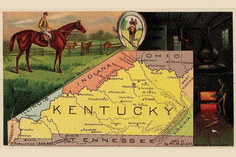 Kentucky White Modern Wood Framed Art Print with Double Matting by Arbuckle Brothers