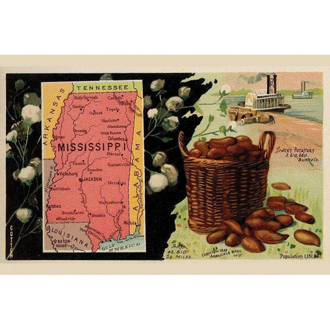 Mississippi White Modern Wood Framed Art Print by Arbuckle Brothers