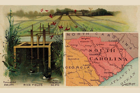 South Carolina Black Ornate Wood Framed Art Print with Double Matting by Arbuckle Brothers