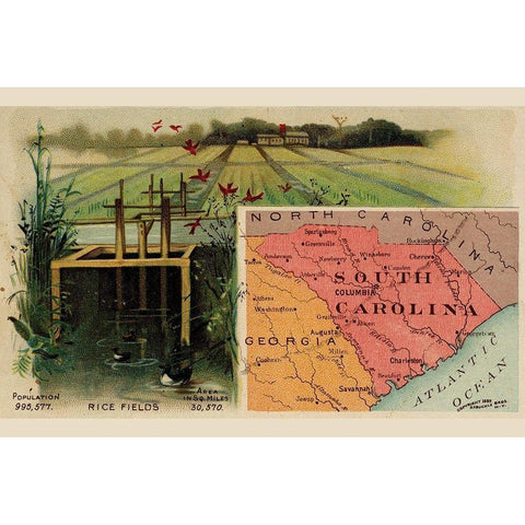 South Carolina Black Modern Wood Framed Art Print with Double Matting by Arbuckle Brothers