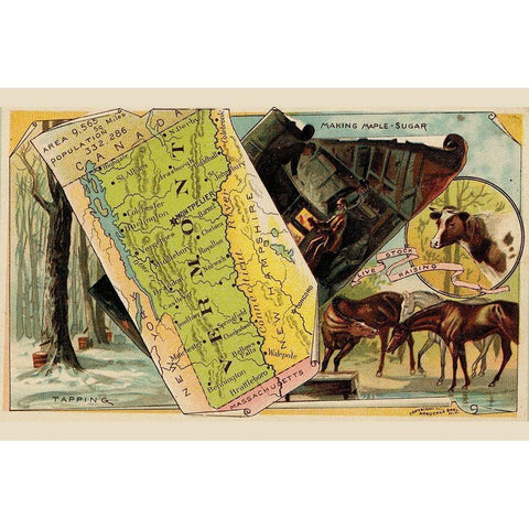 Vermont Black Modern Wood Framed Art Print by Arbuckle Brothers