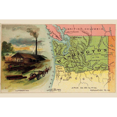 Washington White Modern Wood Framed Art Print by Arbuckle Brothers