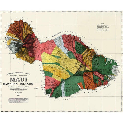 Maui Hawaiian islands Gold Ornate Wood Framed Art Print with Double Matting by Dodge, F S