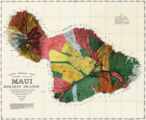 Maui Hawaiian islands White Modern Wood Framed Art Print with Double Matting by Dodge, F S