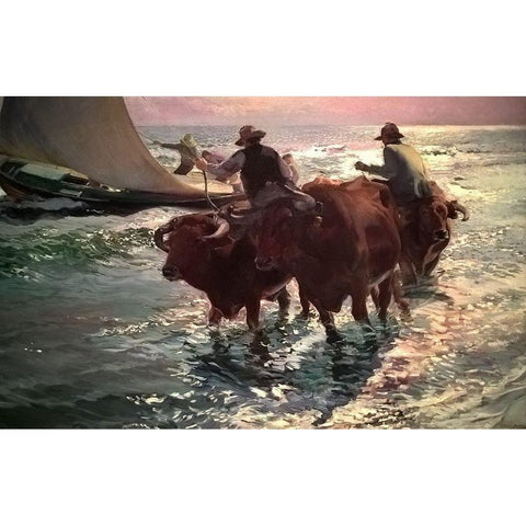 Oxen in the Sea Gold Ornate Wood Framed Art Print with Double Matting by Sorolla, Joaquin