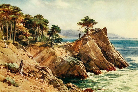 Cypress Point near Carmel-California 1914 White Modern Wood Framed Art Print with Double Matting by Palmer, Sutton