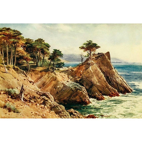 Cypress Point near Carmel-California 1914 Gold Ornate Wood Framed Art Print with Double Matting by Palmer, Sutton