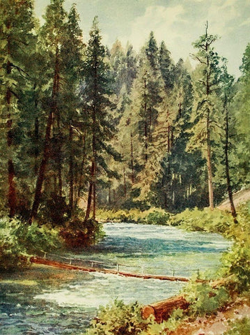 McCloud River-Sacramento Valley-California 1914 Black Ornate Wood Framed Art Print with Double Matting by Palmer, Sutton