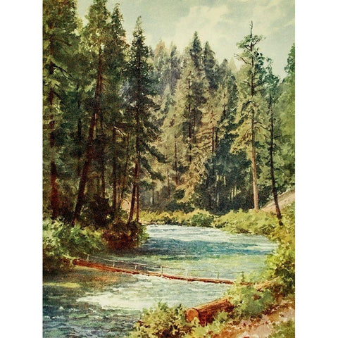 McCloud River-Sacramento Valley-California 1914 White Modern Wood Framed Art Print by Palmer, Sutton