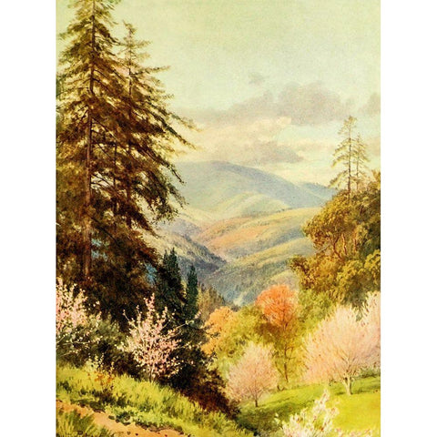 Santa Cruz mountain-the coast range-California 1914 White Modern Wood Framed Art Print by Palmer, Sutton