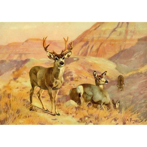 Deer in Montana Black Modern Wood Framed Art Print with Double Matting by Rungius, Carl