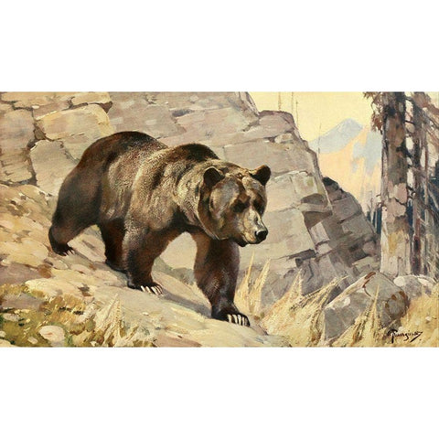 Grizzly Bear Black Modern Wood Framed Art Print with Double Matting by Rungius, Carl