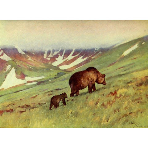 Bears walking in Basin White Modern Wood Framed Art Print by Rungius, Carl