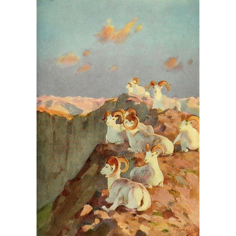 On the Precipice White Modern Wood Framed Art Print by Rungius, Carl