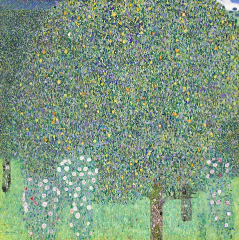 Rosebushes under the Trees White Modern Wood Framed Art Print with Double Matting by Klimt, Gustav