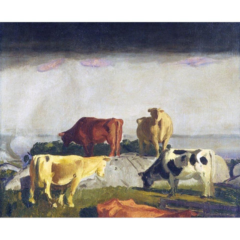 Five Cows White Modern Wood Framed Art Print by Bellows, George