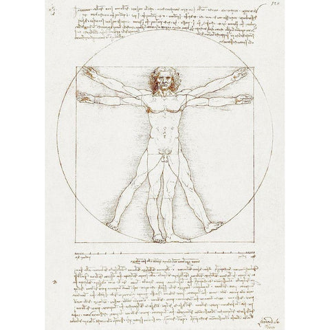 Vitruvian Man White Modern Wood Framed Art Print by da Vinci, Leonardo