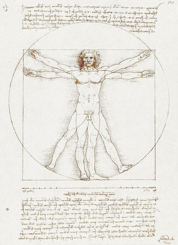 Vitruvian Man White Modern Wood Framed Art Print with Double Matting by da Vinci, Leonardo