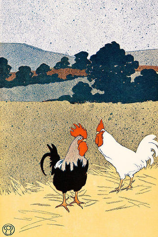 Two Roosters in a Field White Modern Wood Framed Art Print with Double Matting by Penfield, Edward