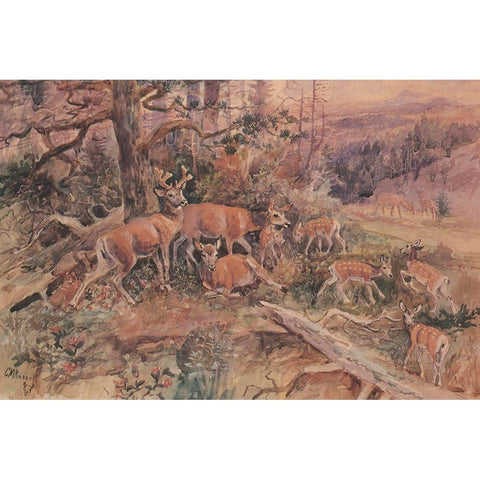 White Tails Black Modern Wood Framed Art Print with Double Matting by Russell, Charles Marion