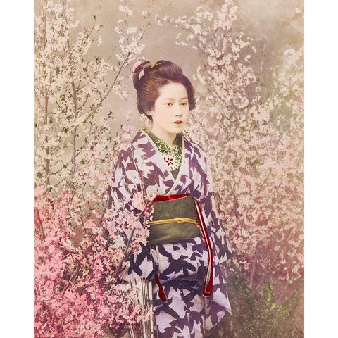 Geisha and Cherry Blossom White Modern Wood Framed Art Print by Kazumasa, Ogawa