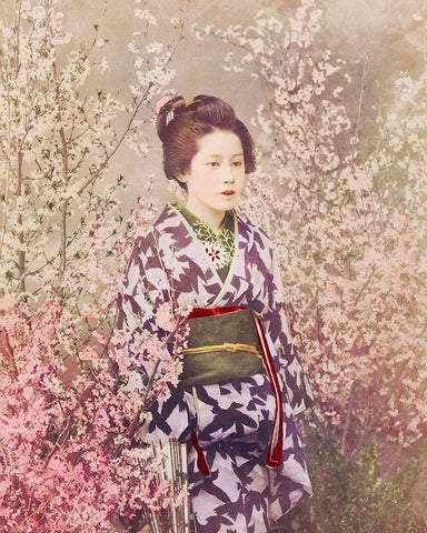 Geisha and Cherry Blossom White Modern Wood Framed Art Print with Double Matting by Kazumasa, Ogawa