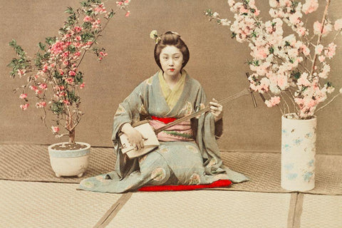 Geisha Playing Samisen White Modern Wood Framed Art Print with Double Matting by Kazumasa, Ogawa