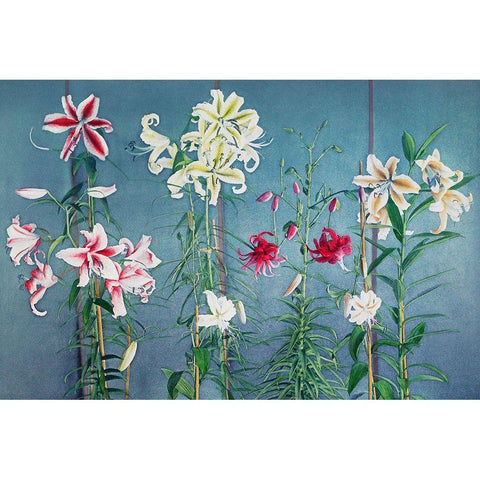 Lily XII Black Modern Wood Framed Art Print with Double Matting by Kazumasa, Ogawa