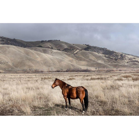 Interstate 5 near Californias Fort Tejon State Park Black Modern Wood Framed Art Print with Double Matting by Highsmith, Carol