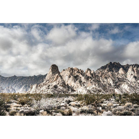 Providence Mountains Mojave National Preserve California Gold Ornate Wood Framed Art Print with Double Matting by Highsmith, Carol