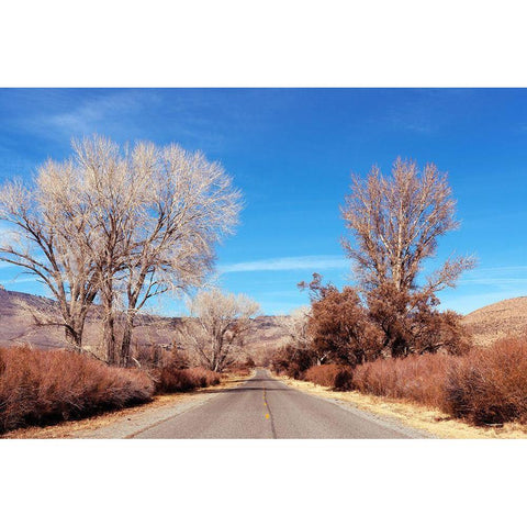 Road in California White Modern Wood Framed Art Print by Highsmith, Carol