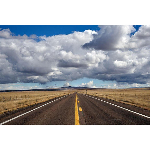 Huge Cumulus Clouds at Round Valley-Springerville-White Mountains-Arizona Gold Ornate Wood Framed Art Print with Double Matting by Highsmith, Carol