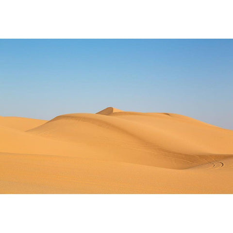 Sand Dunes in Southern California  Gold Ornate Wood Framed Art Print with Double Matting by Highsmith, Carol