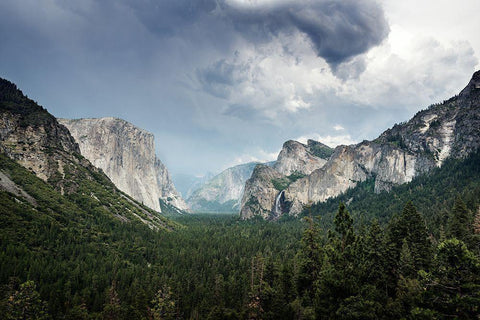 Yosemite National Park-California Black Ornate Wood Framed Art Print with Double Matting by Highsmith, Carol