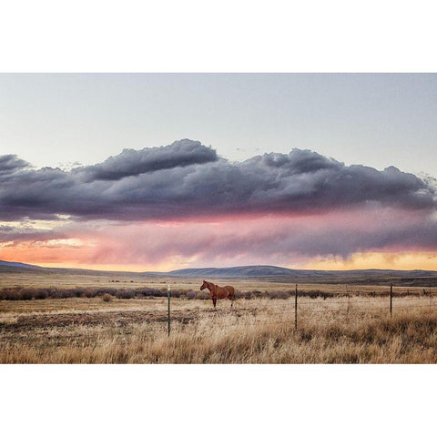 Sunset at Big Creek Cattle Ranch near Riverside in Carbon County-Wyoming Gold Ornate Wood Framed Art Print with Double Matting by Highsmith, Carol