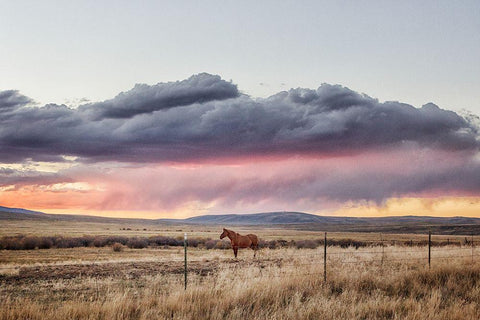 Sunset at Big Creek Cattle Ranch near Riverside in Carbon County-Wyoming Black Ornate Wood Framed Art Print with Double Matting by Highsmith, Carol