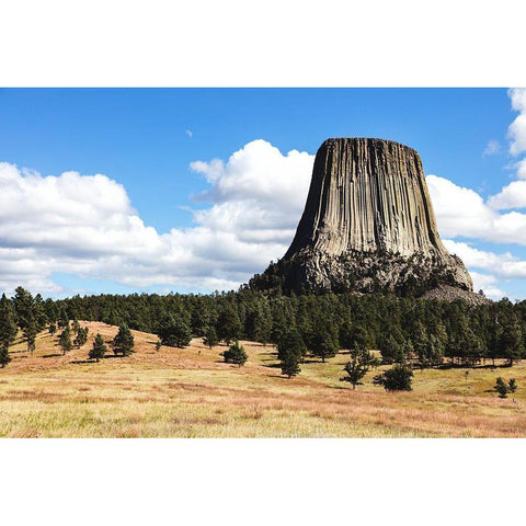 Americas first declared national monument-Devils Tower-Wyoming White Modern Wood Framed Art Print by Highsmith, Carol