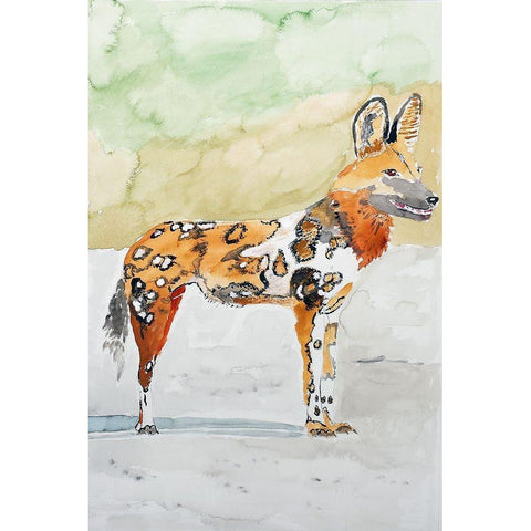 African Wild Dog Black Modern Wood Framed Art Print with Double Matting by Derr, Wynn