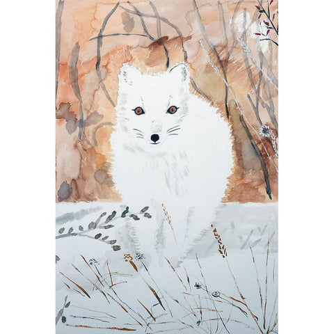 Arctic Fox Black Modern Wood Framed Art Print with Double Matting by Derr, Wynn