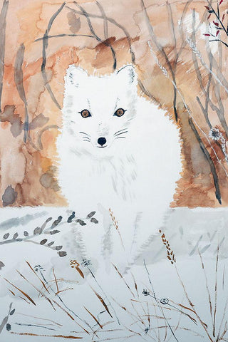 Arctic Fox White Modern Wood Framed Art Print with Double Matting by Derr, Wynn