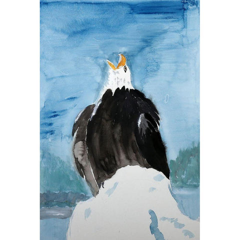 Bald Eagle White Modern Wood Framed Art Print by Derr, Wynn