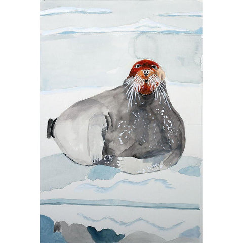 Bearded Seal White Modern Wood Framed Art Print by Derr, Wynn